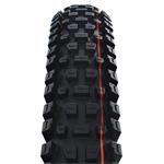 Pneumatika Schwalbe Albert 29x2.60 GRAVITY PRO TLR AddixSoft radiálne skladanie