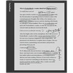 PocketBook InkPad Eo Mist Grey