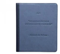 PocketBook pouzdro pro 840 InkPad, modré