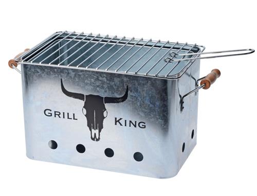 PROGARDEN Prenosný piknikový gril GRILL KING strieborný