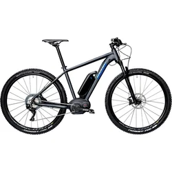RADON ZR Team Hybrid 9.0 - 23" - dark grey/silver/ blue