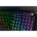 Razer Pro Type Ergo US