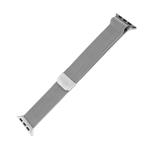 Remienok Fixed Mesh Strap zo sieťoviny z nehrdzavejúcej ocele pre Apple Watch 42/44/45 mm, strieborný