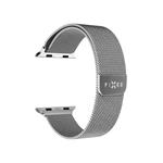 Remienok Fixed Mesh Strap zo sieťoviny z nehrdzavejúcej ocele pre Apple Watch 42/44/45 mm, strieborný
