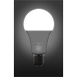 Retlux RLL 463 A67 E27 LED žárovka 20W  