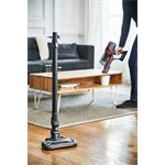 Rowenta RH6878WO X-Pert 6.60 Animal