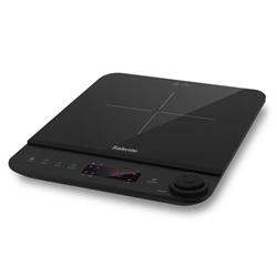 Salente InductPro1