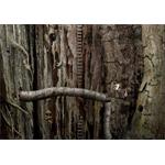 Samorost 2