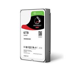 Seagate IronWolf 6TB