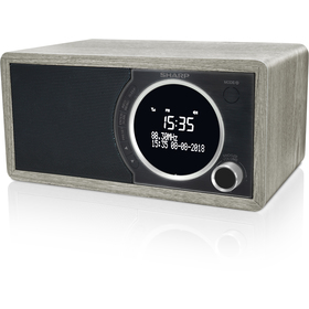 Sharp DR-450GR FM/DAB 