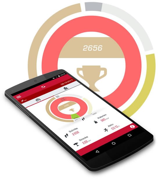 SIGMA športtester iD.RUN HR rouge 24920