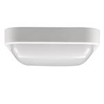 Solight LED vonkajšie osvetlenie štvorcové, 13W, 910lm, 4000K, IP54, 16cm