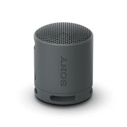 Sony Sony SRS-XB100, černá