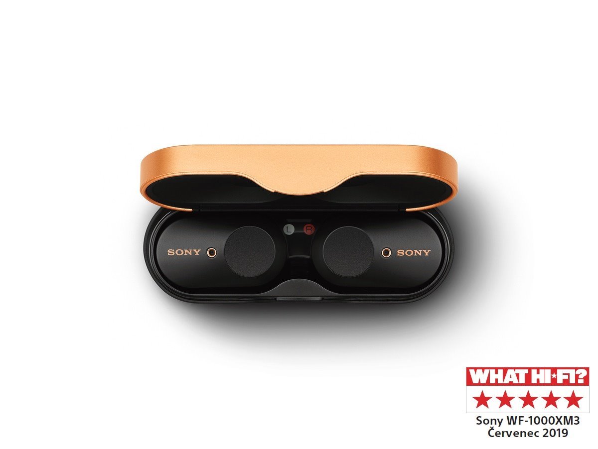 Sony True Wireless WF-1000XM3, černá