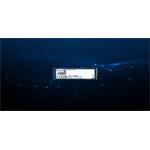 SSD Kingston DC2000B 480GB NVMe Enterprise
