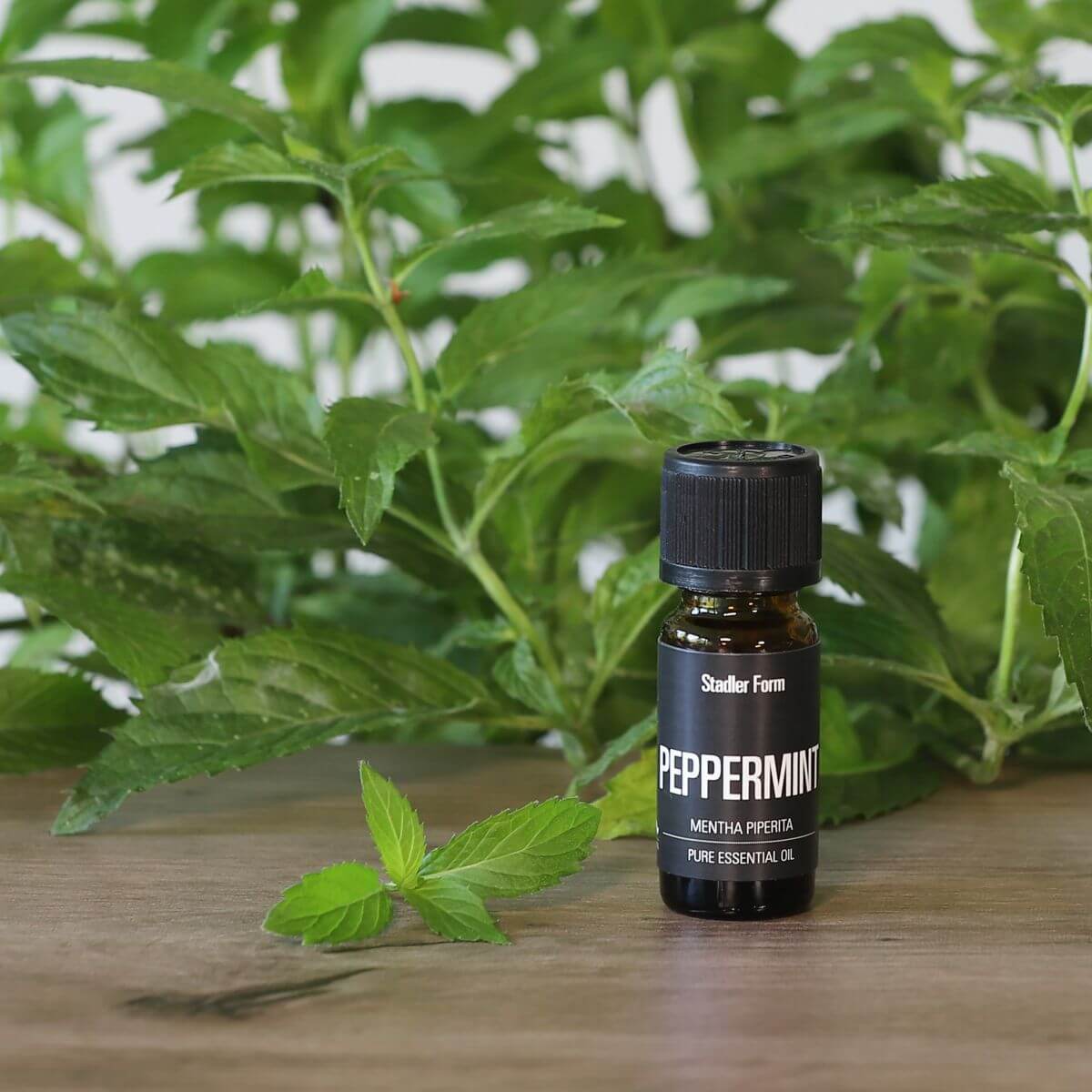 Stadler Form esenciální olej PEPPERMINT - 10 ml