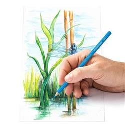 STAEDTLER Akvarelové pastelky "Design Journey", 12 různých barev, sada, šestihranné