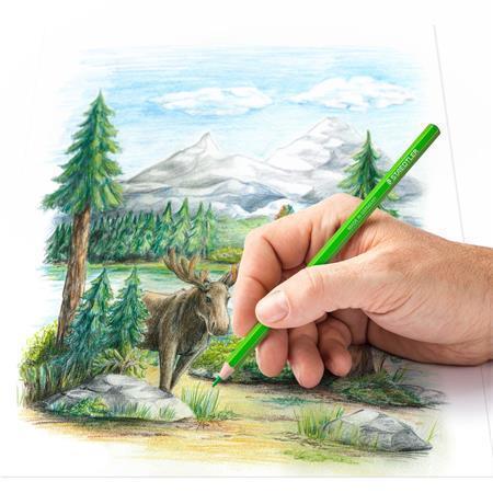 STAEDTLER Pastelky "Design Journey", 12 rôznych metalických farieb, šesťhranné 146M C12
