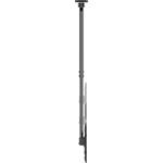 Stell SHO 3901