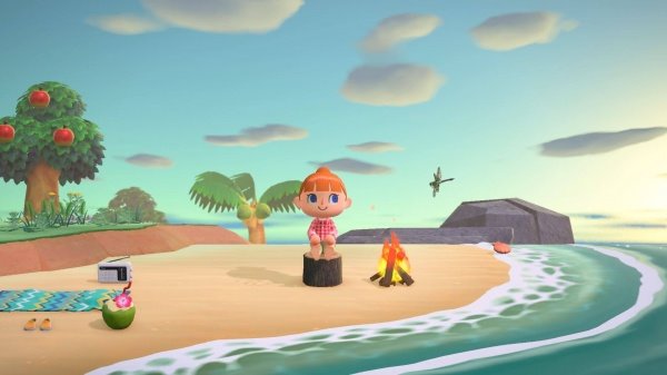 Switch - Animal Crossing: New Obzory NSS032