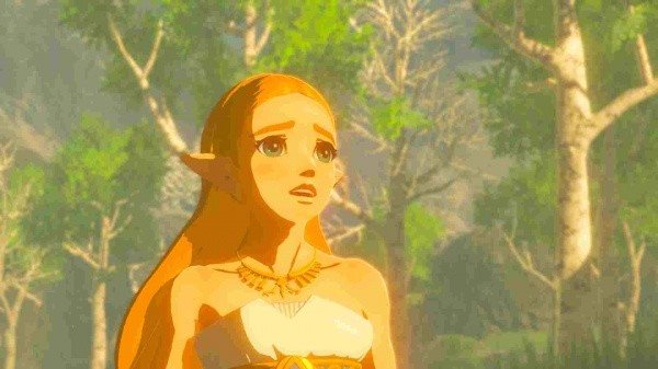 Switch - The Legend of Zelda: Breath of the Wild