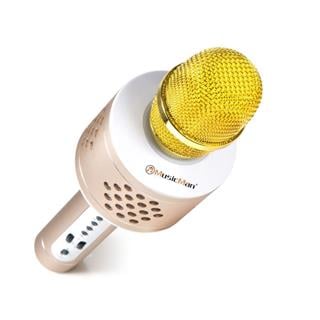 Technaxx BT-X35 PRO Bluetooth karaoke mikrofon, zlato-stříbrná