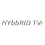 TESLA HYbbRID TV T200