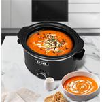 TESLA SlowCook S350 