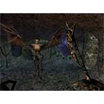 The Elder Scrolls III Morrowind Game of the Year Edition