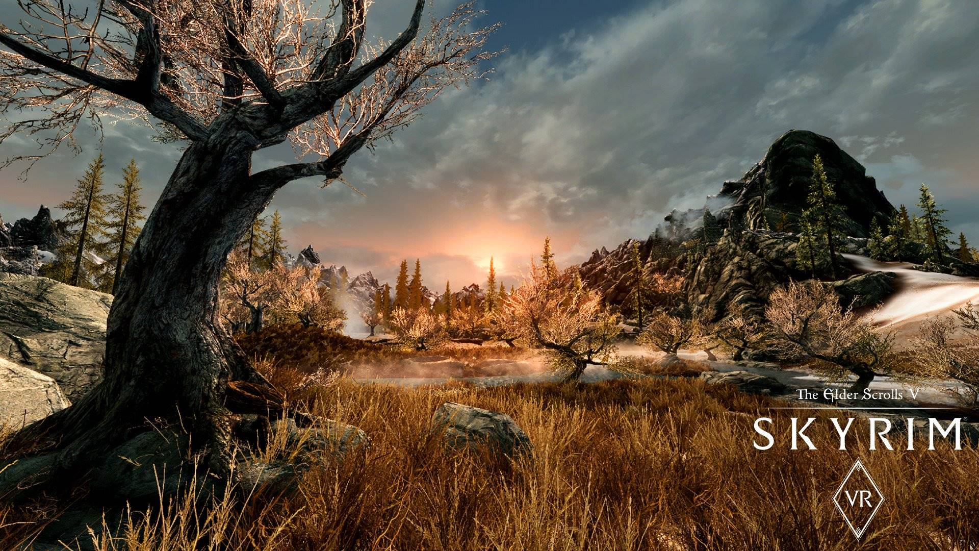 The Elder Scrolls V Skyrim VR elektronická licence