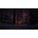 The Long Dark Survival Edition