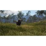 theHunter Call of the Wild Emerald Coast Australia