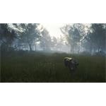 theHunter Call of the Wild Te Awaroa National Park