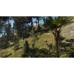 theHunter Call of the Wild Te Awaroa National Park