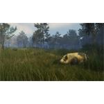 theHunter Call of the Wild Te Awaroa National Park