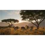 theHunter Call of the Wild Vurhonga Savanna
