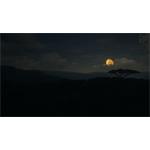 theHunter Call of the Wild Vurhonga Savanna
