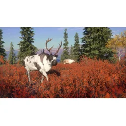 theHunter Call of the Wild Yukon Valley