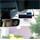 TrueCam H7 GPS 2.5K s detekciou radarov) 8594175354119