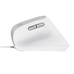 Trust Bayo II/Vertikálne/Optické/Pravoruké/2 400 DPI/Bezdrôtové USB/Biele