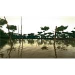Ultimate Fishing Simulator Amazon River