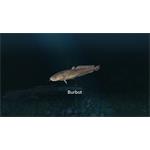 Ultimate Fishing Simulator New Fish Species