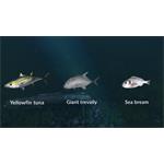 Ultimate Fishing Simulator New Fish Species