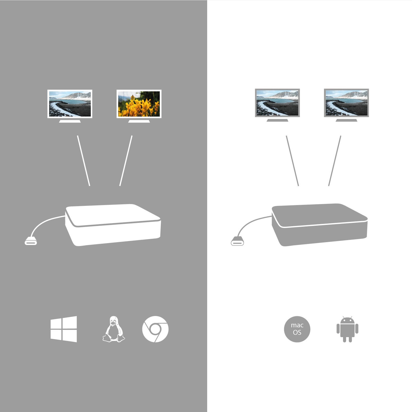 USB-C Dual Display Docking Station with Power Delivery 100 W