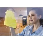 Vileda 171800 Handrička na čistenie okien Actifibre, 1 ks