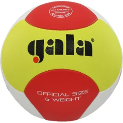 Volejbalový míč GALA Beach SMASH NEW 5263S