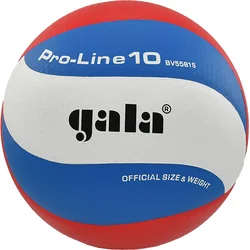 Volejbalový míč GALA Pro Line 10 - BV 5581 S