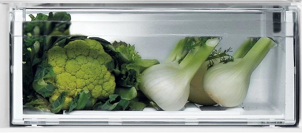 Whirlpool WFNF 81E OX 1