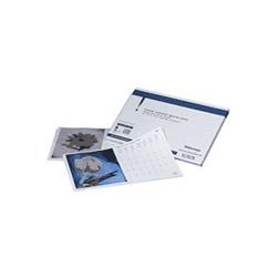 Xerox Papír, Graphics Imaging Paper, Tab Extra (305 x 457 mm), 216 g/m2 (50 list