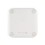 Xiaomi Mi Smart Scale 2